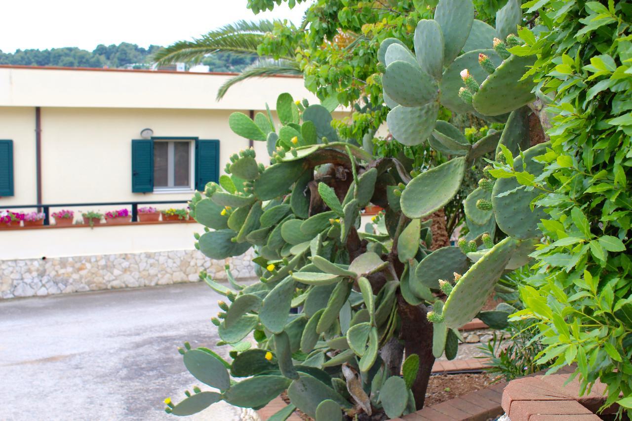 Villaggio Turistico Defensola Vieste Buitenkant foto